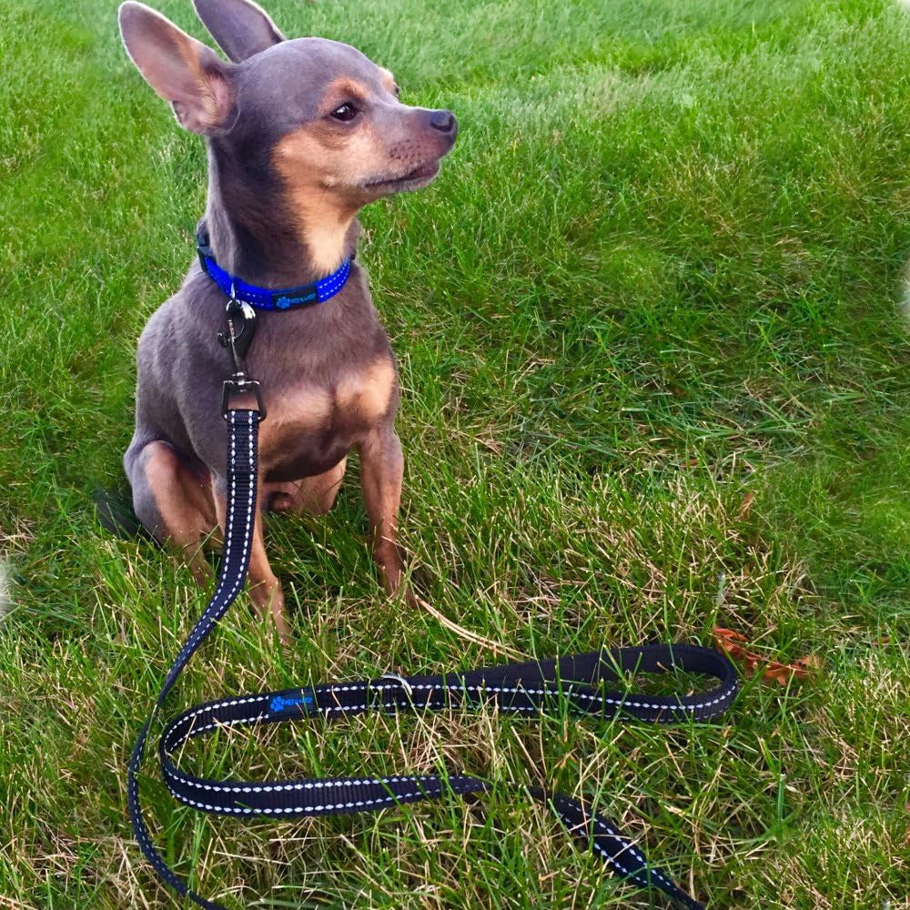 Reflective Nylon Leash for Small Dogs - Support Dog Rescue with Every Purchase (Black, 4X5/8)