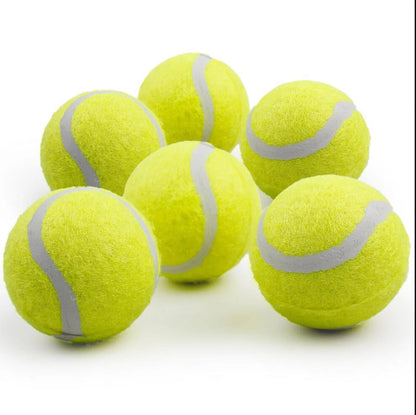 Dog Tennis Ball Toy Set, 6-Pack Fetch Balls for Puppies and Small Dogs (2-Inch AFP Mini Automatic Ball Launcher Refills)