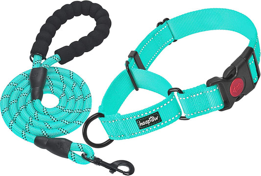 Martingale Dog Collar with Quick Release Buckle and Reflective Features for Small, Medium, and Large Dogs